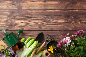 Embrace spring vibes with garden work essentials. Top view of vibrant seedlings, watering can, spade, gloves, and more on rustic wood backdrop. Ideal for gardening enthusiasts