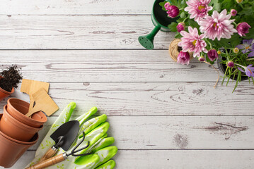 Spring into action with garden tasks. Top-down view of budding flowers, watering can, and tools resting on white wood. A picturesque setup for green thumbs - obrazy, fototapety, plakaty