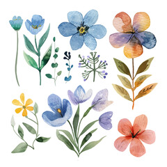 Set of floral watercolor elements.