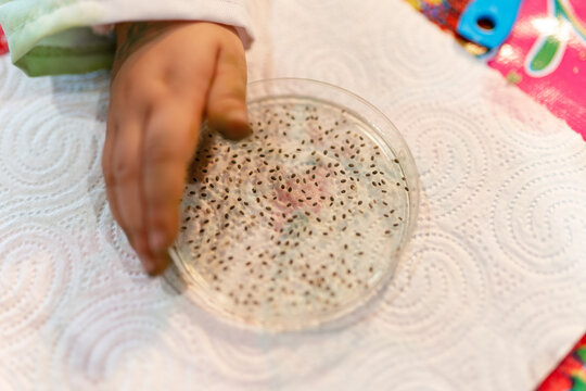 Girls playing with science toys at home