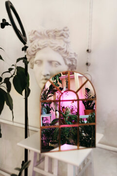Home gardening in apartment.