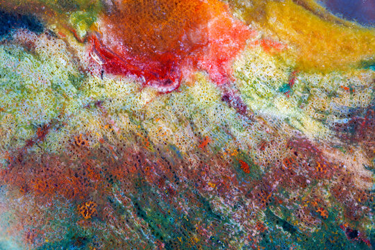 Colorful quartzite jade texture