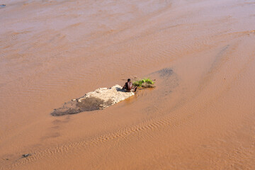 Ethiopia, people taking a bath in the Turmi River  
