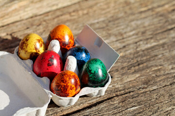 easter quail eggs in the nest