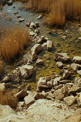 river in the mountains, rivers, nature, lake