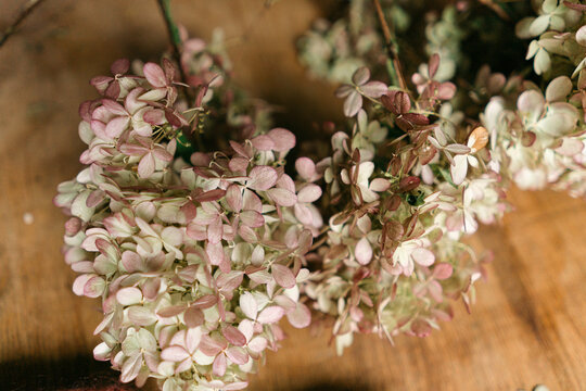 pink and green hydrangea on wood