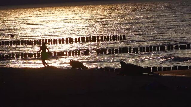 Silhouette young woman with dog along sea an sunset, slow motion