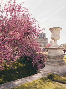 Spring pastels
