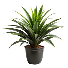Obraz premium furniture with pots