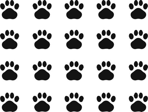 Animal paw prints vector illustration