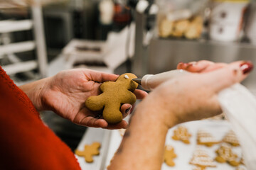 hands decorating a gingerbread christmas cookies