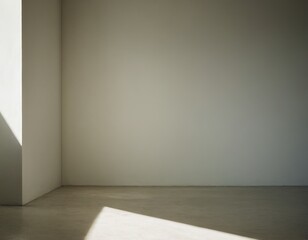 empty room with white wall