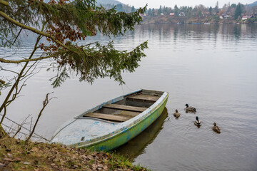 Obraz premium A moored boat on the bank of a river in the forest and a swimming flock of ducks in the Czech Republic