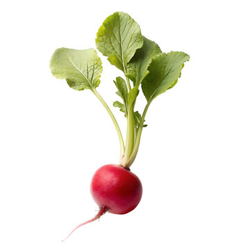 image of beetroot