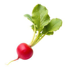 image of beetroot