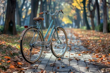 Foto op Canvas Vintage blue bicycle with brown leather seat and handlebars on park stone path © ЮРИЙ ПОЗДНИКОВ