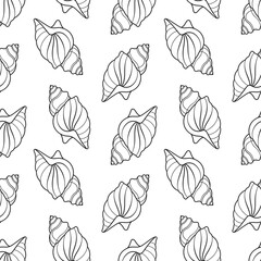 Seamless pattern of sea shells. Black outline of seashells on a white background. Vector