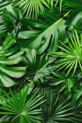 Exotic tropical jungle with lush palm trees and wild plants panoramic wallpaper concept