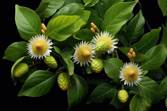 A cluster of Mimusops elengi or bakul flowers in full bloom on a plant, showcasing their vibrant colors and delicate petals. Generative AI