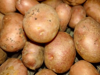 Potato🥔