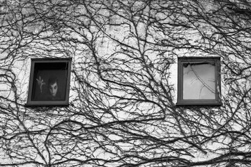 Ein altes gruseliges Haus mit einer unheimlichen Gestalt im Fenster