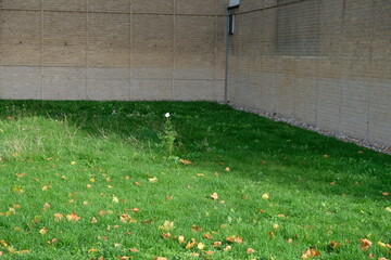 FU 2022-10-23 Betonbau 91 Vor der Mauer ist eine Wiese