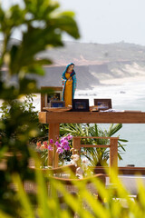 altar, wedding backdrop, top view, beach wedding, outdoor wedding, beach with palm trees, beach with trees,
