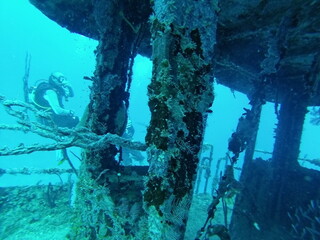 Wheel house on a shipwreck in the Caribbean Sea, off the coast of Utila, Honduras
