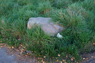 FU 2022-11-01 Weiden 42 Im Gras liegt ein großer Stein