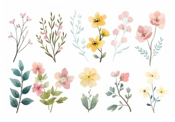Springtime Florals: foral clip art depicting blooming flowers, budding branches, and fresh foliage