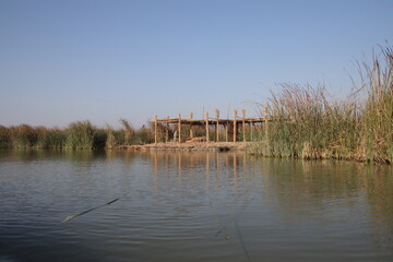 Buffalo corral in the marshes of Iraq with blue sky and water