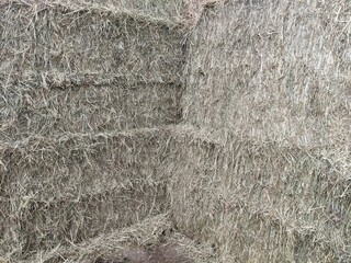 A close-up of Square hay bales stacked on top of each other
