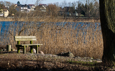 Lonely wooden bench and sunny spring park