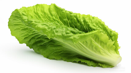 leaf green fresh lettuce isolated on white with background - obrazy, fototapety, plakaty