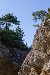 春の浦富海岸の岩場の風景 鳥取県 浦富海岸