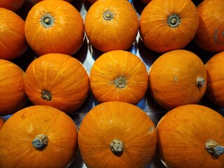 Summer squash sold in modern supermarket