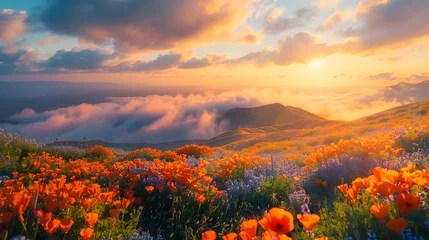 Zelfklevend Fotobehang California's Poppy Fields at Dawn: A Tranquil High-Definition Landscape Wallpaper © Ollie