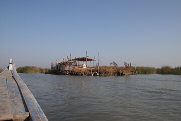 Buffalo corral in the marshes of Iraq with blue sky and water