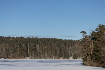 Frozen pond in Northern NY - 771106411