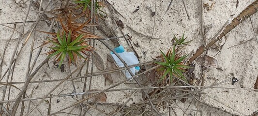 Microplástico lixo na praia