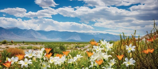 A picturesque natural landscape with a field of colorful flowers set against majestic mountains and a cloudy sky, creating a tranquil and serene environment