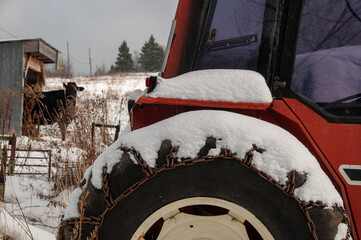 A red tractor beside a cow and barn in the snow during winter