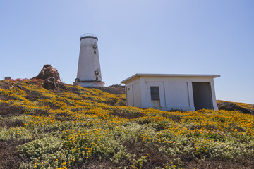 Piedras Blancas Light Station, San Simeon California
