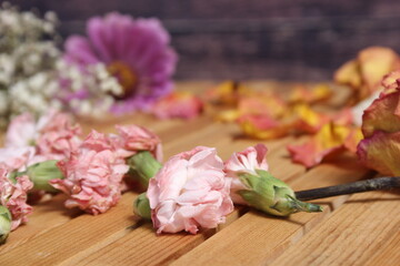 Old Flowers Drying on Wooden Table. Zinnias With Roses and Carnations