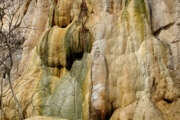 Algae growing on a tavertine rock formation above a pool at Hierve el Agua in Oaxaca, Mexico - obrazy, fototapety, plakaty