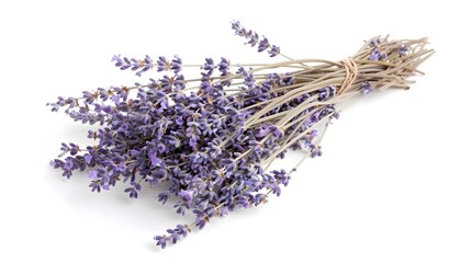 Dry lavender bunch on a white background