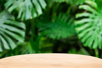 Zelfklevend Fotobehang Tropical fern leaves in garden surrounded by palm trees, nature's lush beauty captured in a serene landscape © Daken Design
