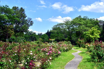 Obraz premium 庭園 広島 湧永庭園 新緑 