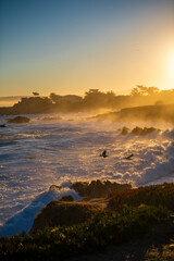 Sunset on the beach in Monterey birds flying I the sky