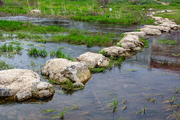 Small river with stones and grass in a city. Small river in the city. Close-up of stones and grass.